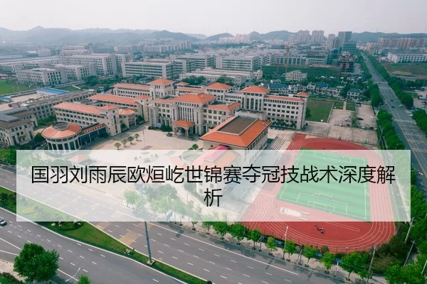 国羽刘雨辰欧烜屹世锦赛夺冠技战术深度解析